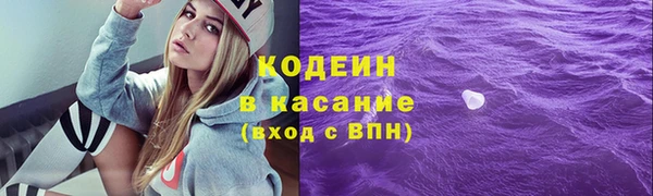 СК Алексин
